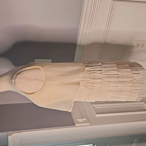 American Eagle Outfitters Ivory Fringe Sleeveless Dress - Picture 3 of 12